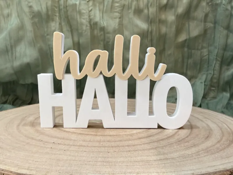 Schriftzug halli hallo