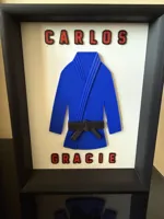 Martial Arts GI and Interchangeable Belt Shadow Box