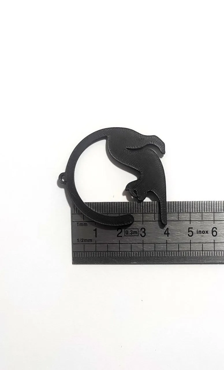 Catnap Curve - Earrings view 2