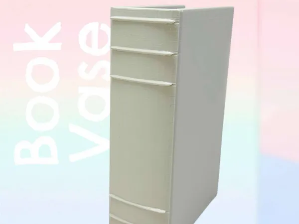 https://makerworld.bblmw.com/makerworld/model/USc29f70fdd968ec/design/2025-06-02_69ff11e913aa5.jpg