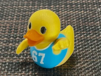 Just an Average 67 Duck