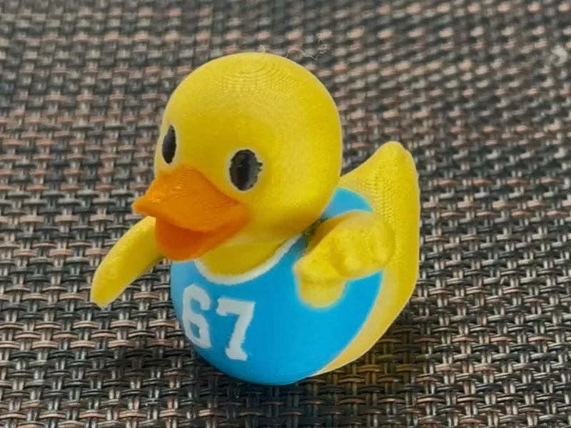 Just an Average 67 Duck