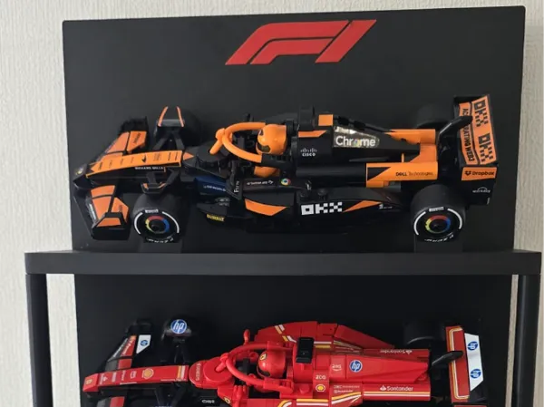 https://makerworld.bblmw.com/makerworld/model/USc2a4cc1024bab9/design/2025-09-29_7955317515dc7.jpg