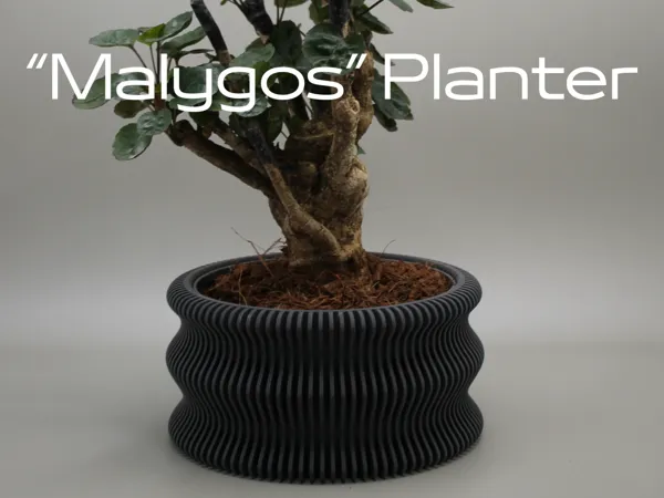 https://makerworld.bblmw.com/makerworld/model/USc2a71b7e5f7088/design/2025-04-04_9b3795adad9fc.jpg