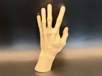 0.2mm layer, 2 walls, 5% infill
