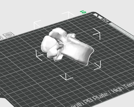 Lumbar Vertebrae by BODY MECHANIC - MakerWorld