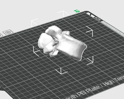 Lumbar Vertebrae by BODY MECHANIC - MakerWorld