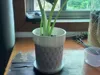 0.2mm layer, 2 walls, 10% infill