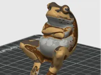 Grenouille — photo 2