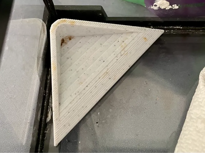 Crested Gecko's fruit puree plate / 睫角守宫果泥盘
