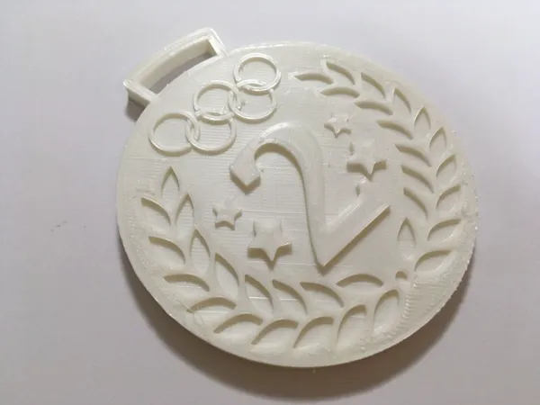 https://makerworld.bblmw.com/makerworld/model/USc2b2b2e6509e44/design/2024-11-20_d969111fd0af1.jpeg