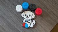 Maltese with a beach ball