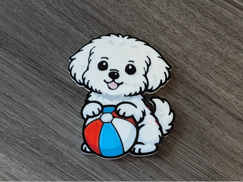 Maltese with a beach ball