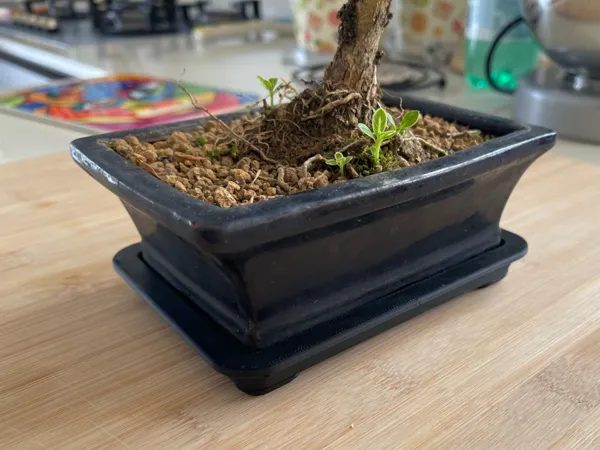 https://makerworld.bblmw.com/makerworld/model/USc2b65ed49c6b5f/design/b18c94fd6fd00869.jpeg