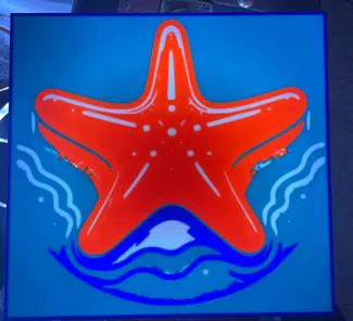 Fun Starfish Lightbox 