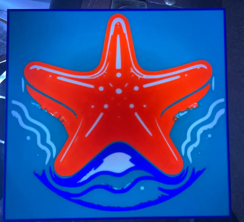 Fun Starfish Lightbox