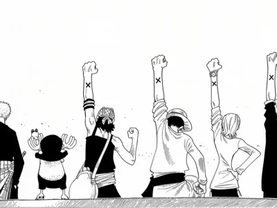 The Straw Hats - Manga panel relief