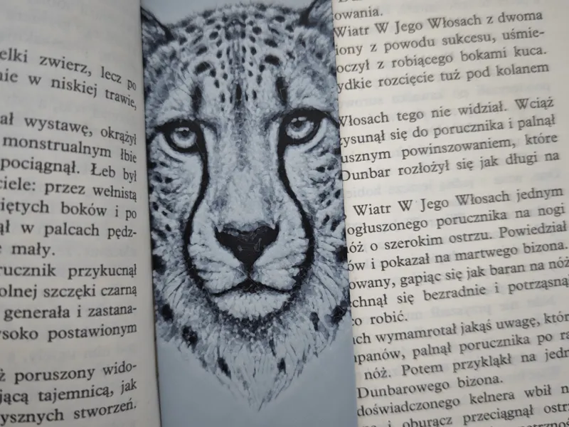 Gepard