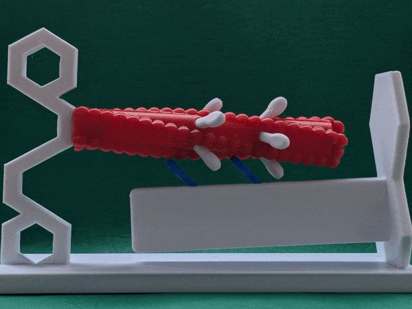 https://makerworld.bblmw.com/makerworld/model/USc2c368df8cdd9f/design/2024-08-18_eb35814dda9e5.gif