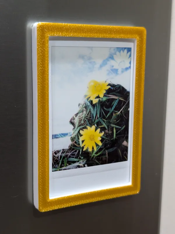 https://makerworld.bblmw.com/makerworld/model/USc2c713d24877b/design/2024-11-17_8caf1c4a08a9b.jpg