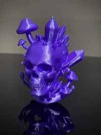 0.16mm layer, 2 walls, 12% infill