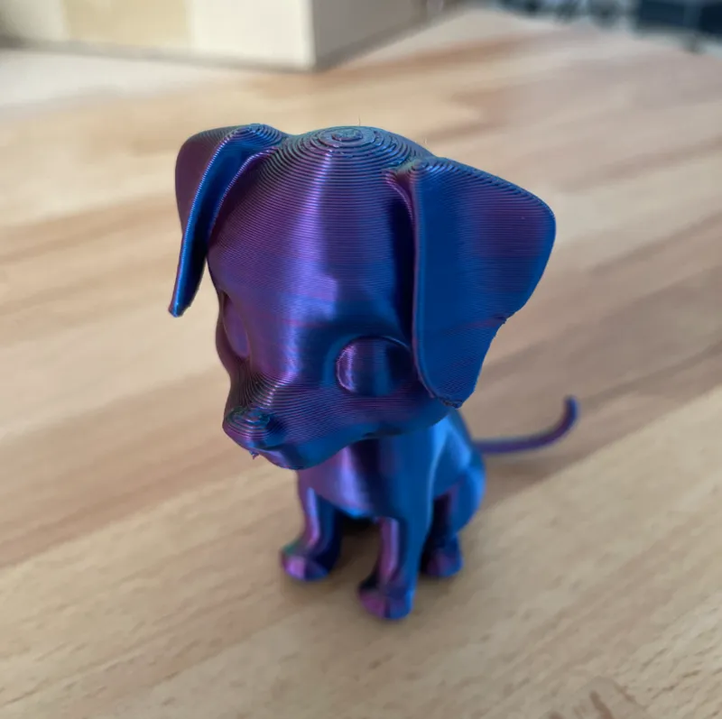 Gug's: Cute dog