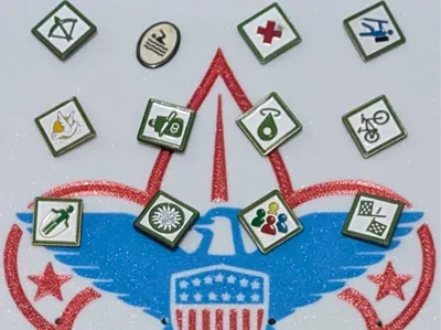 BSA Webelos/Arrow of Light Pin Holder