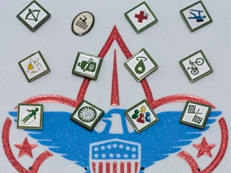 BSA Webelos/Arrow of Light Pin Holder
