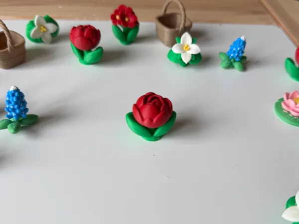 https://makerworld.bblmw.com/makerworld/model/USc2d896a269fb69/design/187c0f286a0cc129.jpeg