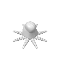 Darth Roctopus — photo 3