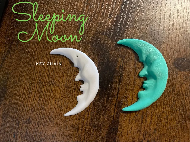 Sleeping Moon Key chain