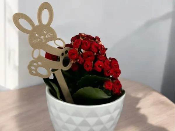 https://makerworld.bblmw.com/makerworld/model/USc2e8627b6ccbad/design/2025-04-08_5f8ebb2872ebb.png