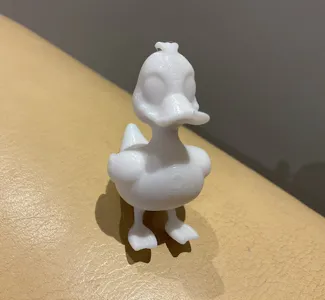 Duck