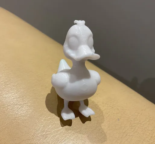 Duck 