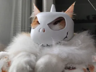 Jack Skeletron Cat Mask