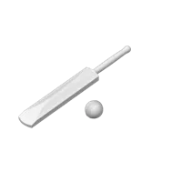 Set miniature batte et balle de cricket — photo 3