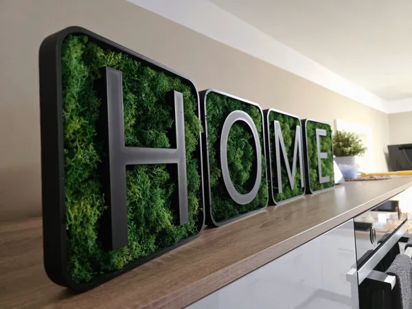 https://makerworld.bblmw.com/makerworld/model/USc2f98ab8f0986a/design/2024-02-29_a004e6fa5c231.jpg