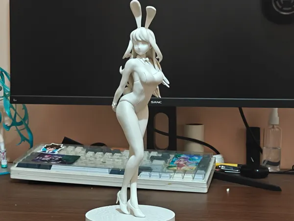 https://makerworld.bblmw.com/makerworld/model/USc2fa51b9c55c51/design/2025-06-25_f4d74dd19ffa9.jpg
