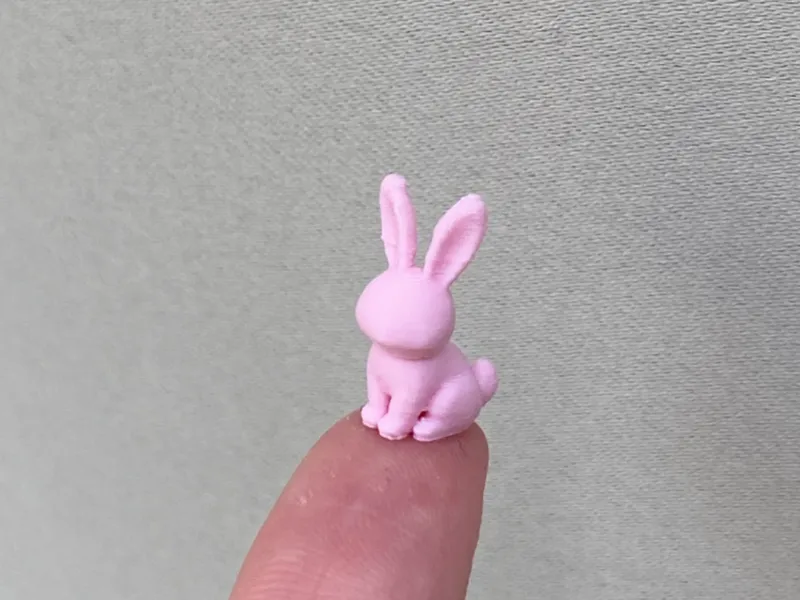 Mini Bunny