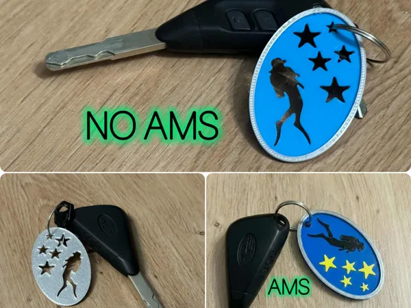 https://makerworld.bblmw.com/makerworld/model/USc309fcbece026a/design/fce6f5e8a2ee4566.png