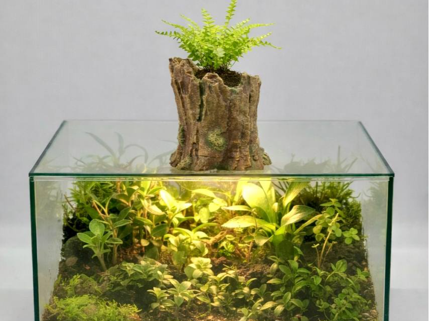 TerraLights – Tree