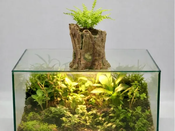 https://makerworld.bblmw.com/makerworld/model/USc30b76429947b7/design/39950ab9394e45cc.jpg