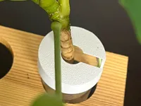 0.12mm layer, 2 walls, 15% infill