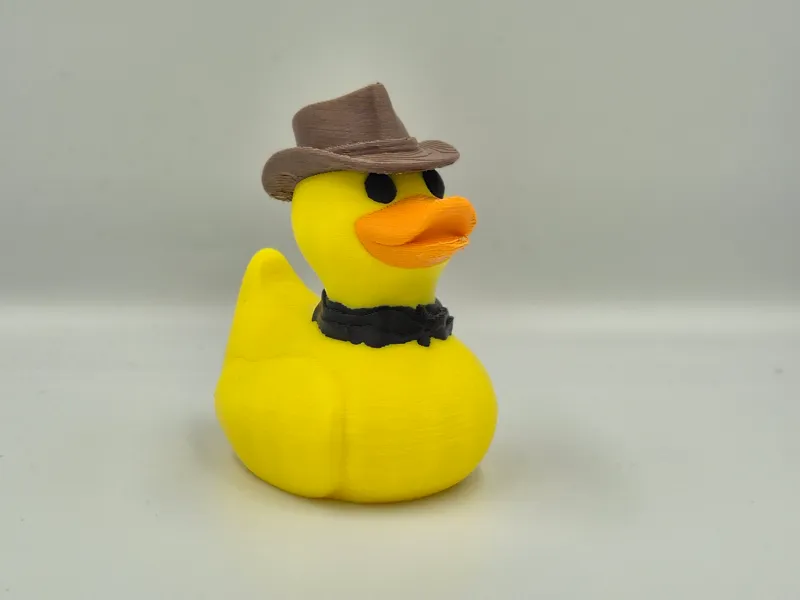 Cowboy Duck