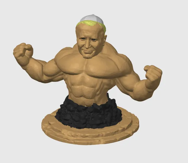 https://makerworld.bblmw.com/makerworld/model/USc313a190a278c7/design/2024-01-04_268429ab496ff.png