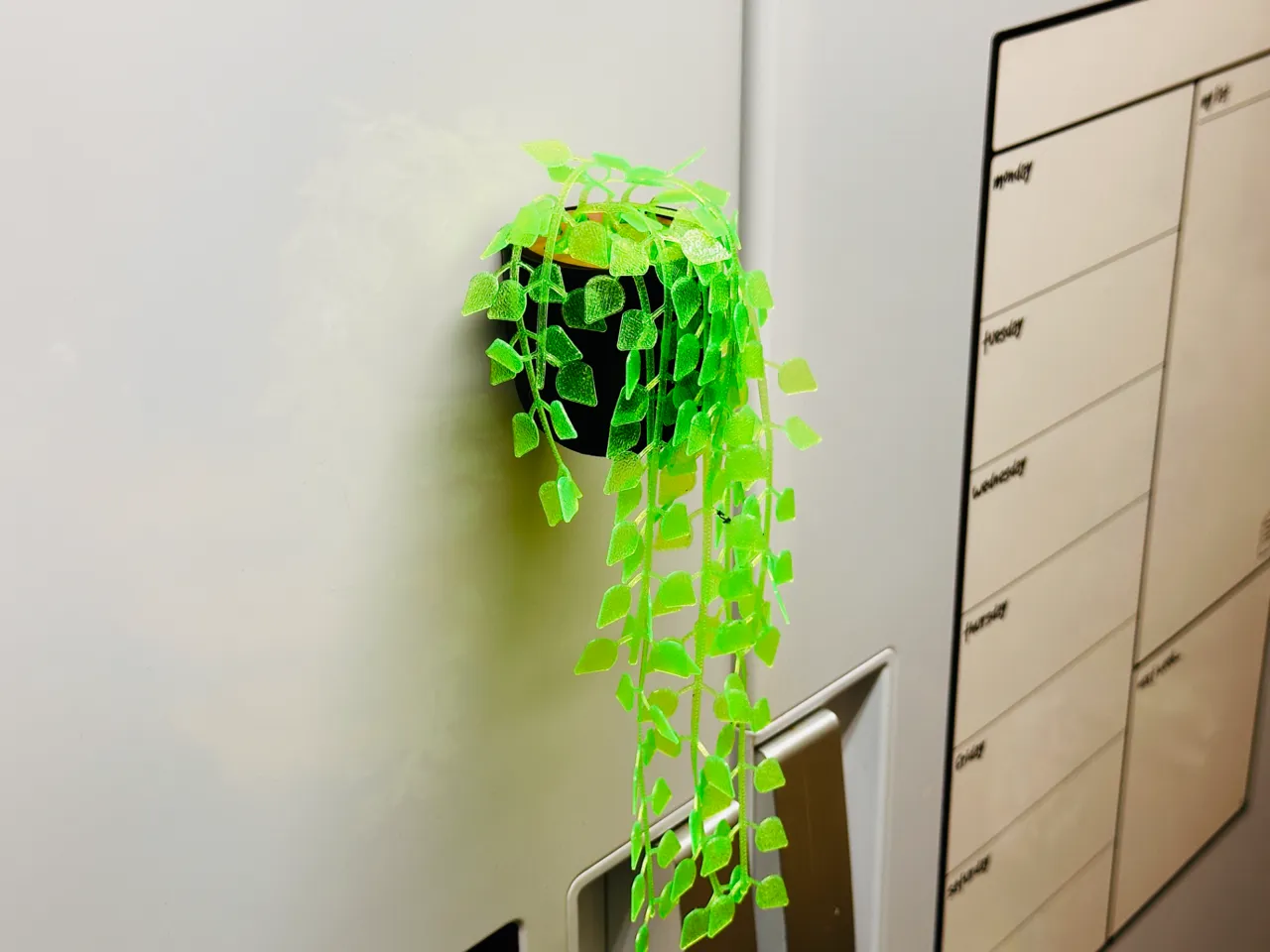 Vine Creeper Plant - Magnetic version view 2