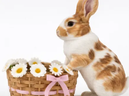 Easter Bunny With Basket