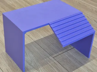 Basking Platform with Ramp