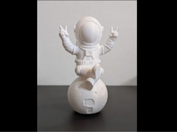 https://makerworld.bblmw.com/makerworld/model/USc31c6c9f0035a1/design/2025-02-08_e2294a3b5d86e.jpg