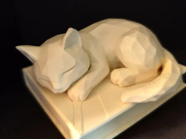 https://makerworld.bblmw.com/makerworld/model/USc321fe553e068/design/2025-06-06_60c5daf70f5f1.jpg